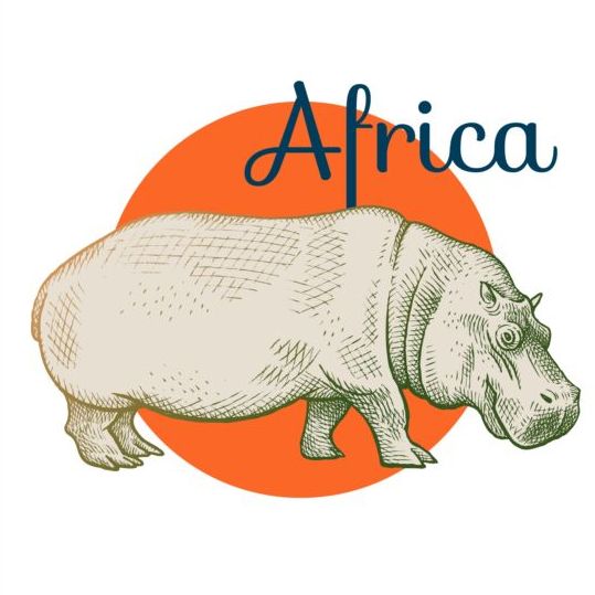 539x539 Africa Hippo Vector