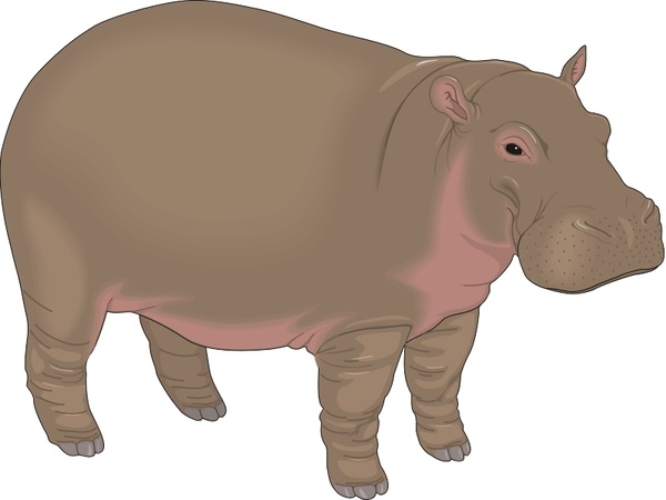 600x450 Hippopotamus Free Vector In Open Office Drawing