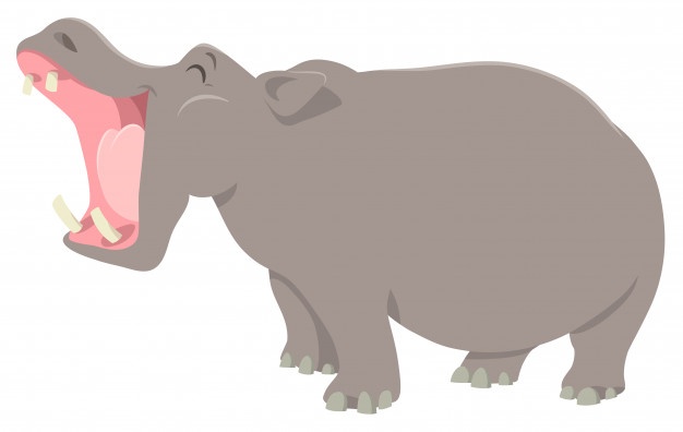 626x396 Hippopotamus Vectors, Photos And Free Download