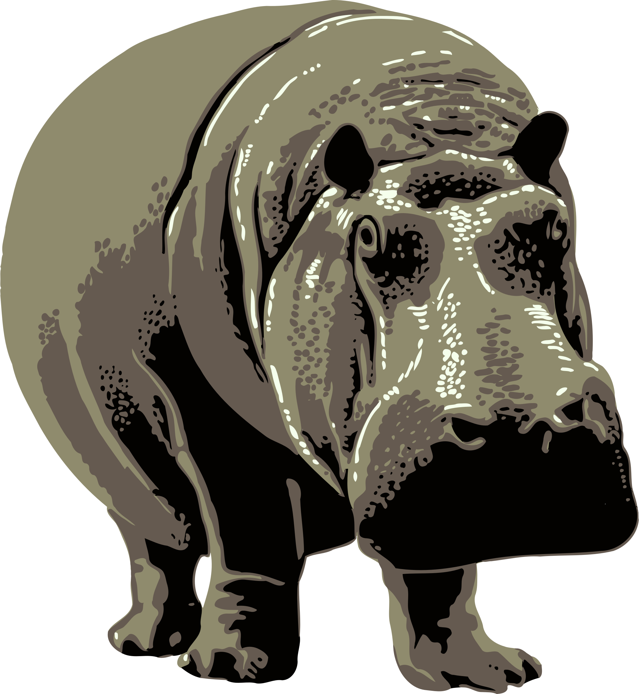 2212x2400 Gray Standing Hippopotamus Vector Clipart Image