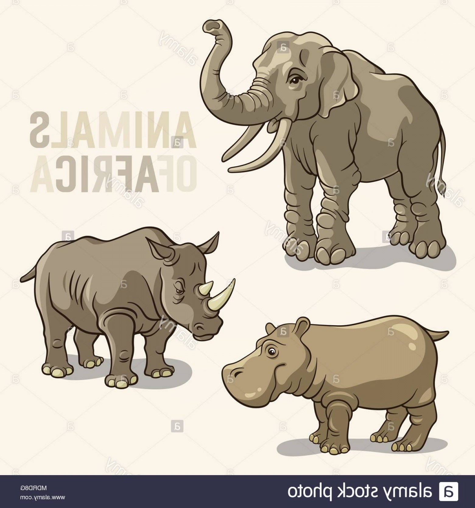 1560x1668 Vector Illustrations Of African Animals Elephant Rhino