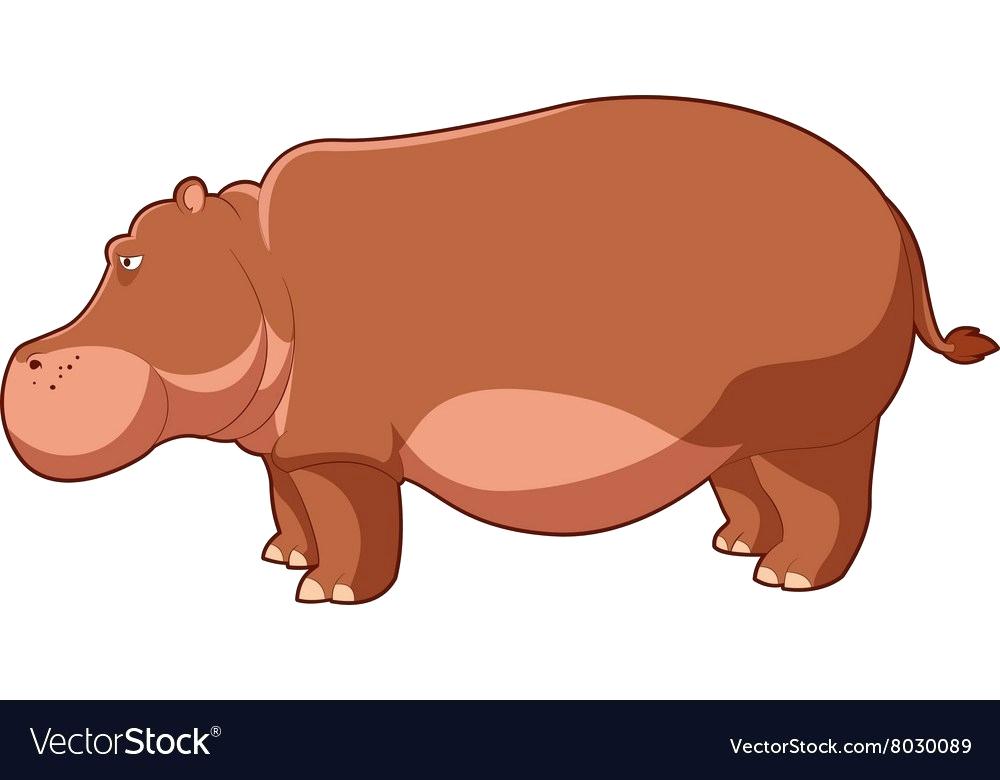 Hippopotamus Vector at Vectorified.com | Collection of Hippopotamus