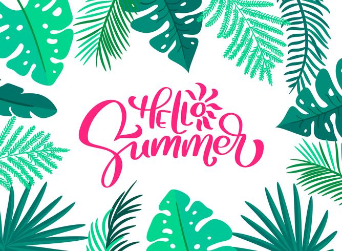 668x490 Text Hello Summer In Floral Leaves Frame Hand Drawn Lettering