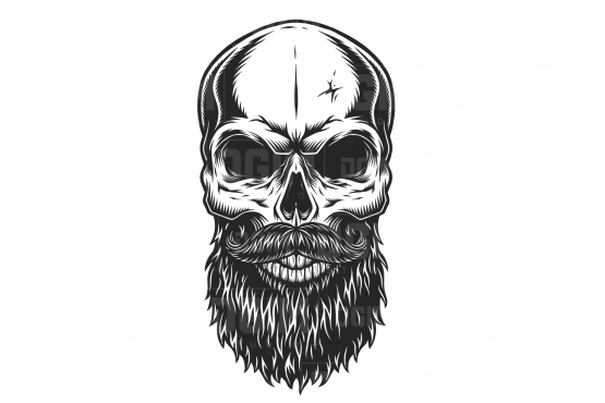 555x370 Hipster Skull