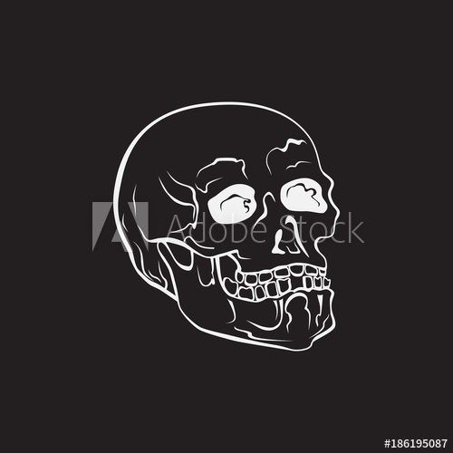 500x500 Hipster Skull Vector Illustration Hand Drawn Symbol