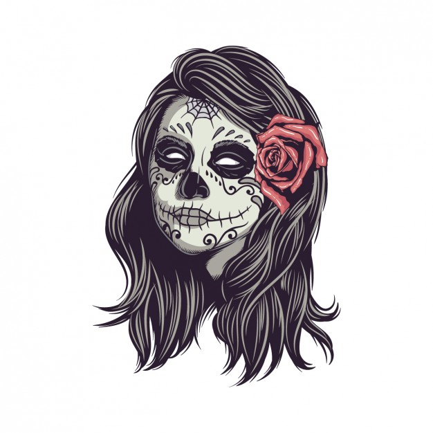 626x626 Skulls Vectors, Photos And Free Download