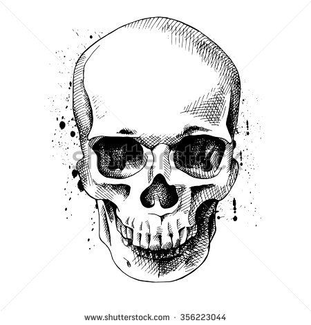 450x470 The Image Of The Skull Vector Illustration Portre Halloween