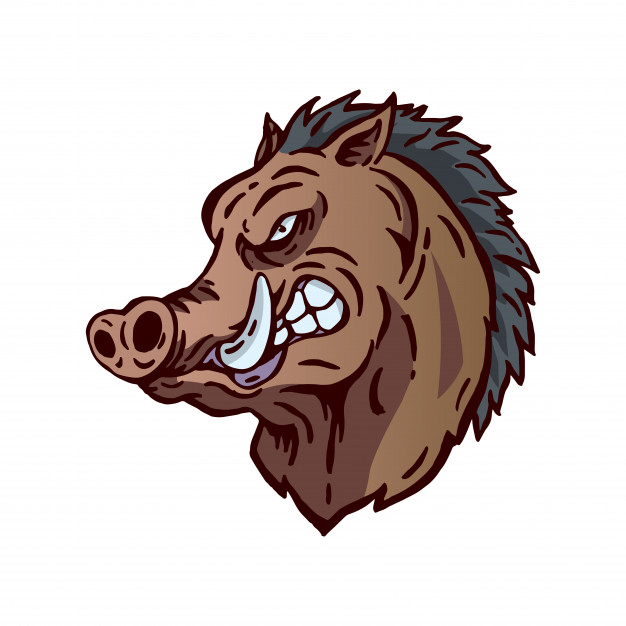 Hog Logo Vector