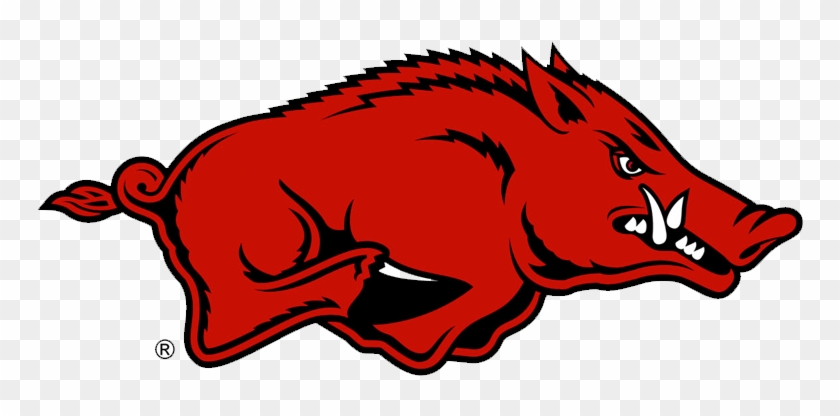 Hog Hunting Logo