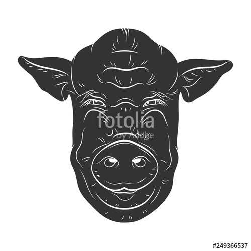 500x500 Pig Vector Head Isolated On White Background Hog, Pork, Piglet