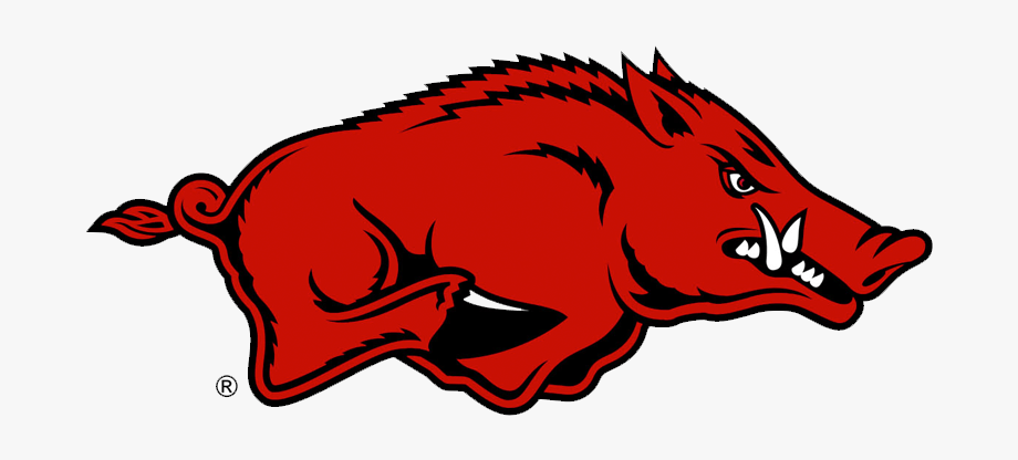 920x416 Hog Vector Skull