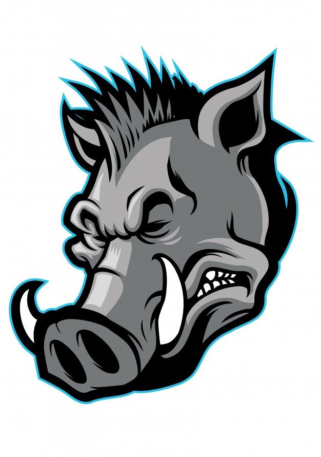 626x890 Hog Head Mascot Vector Premium Download