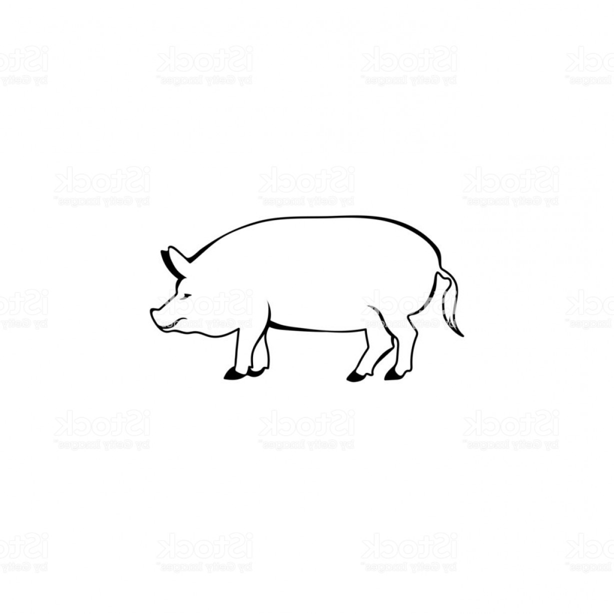 1228x1228 Show Hog Vector Geekchicpro