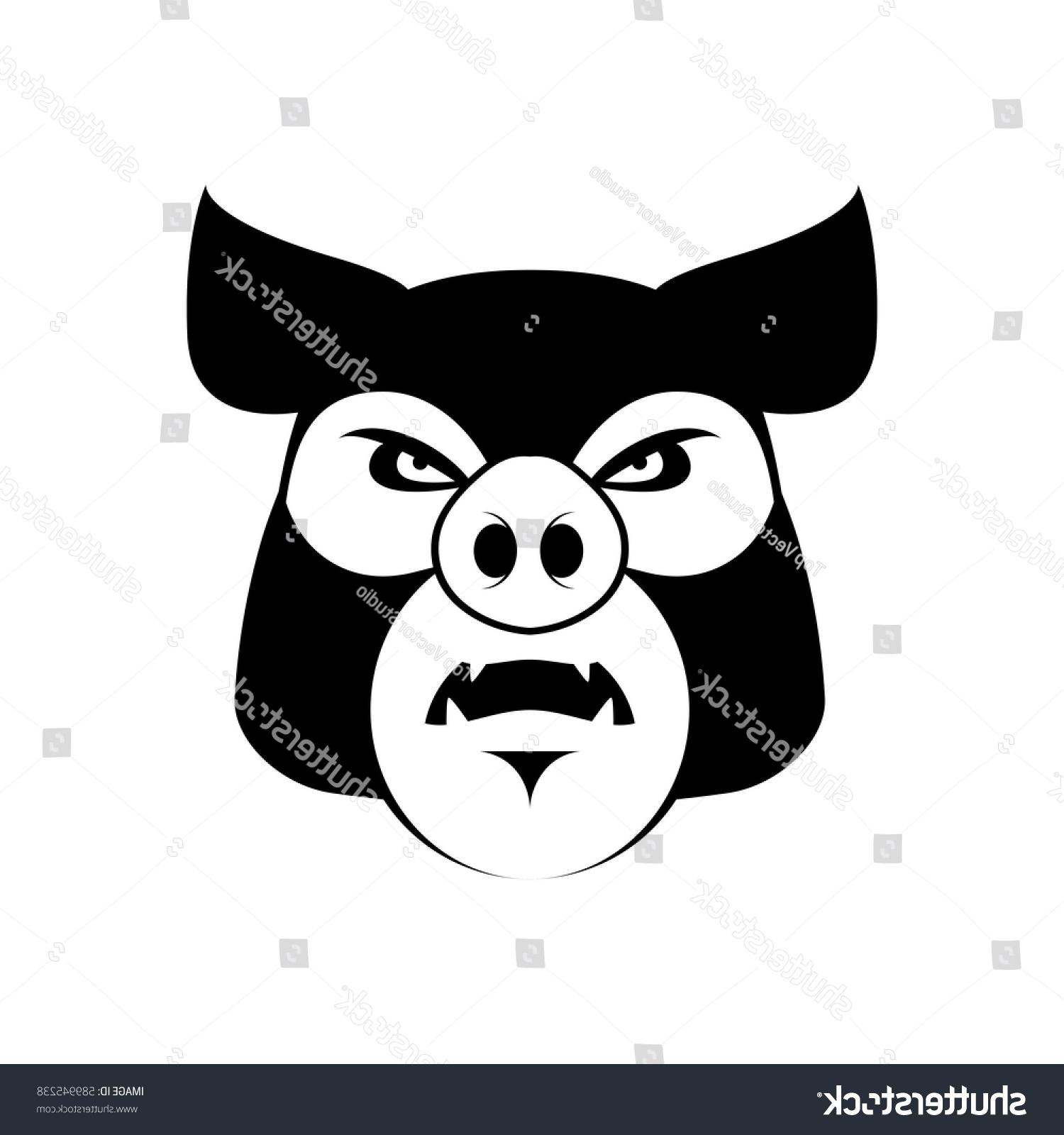 1500x1600 Top Stock Vector Angry Pig Evil Boar Grumpy Hog Aggressive Piggy Image