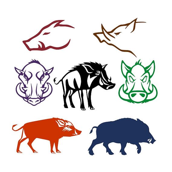 570x570 Wild Boar Pig Cuttable Designs Dxf, Use With Silhouette