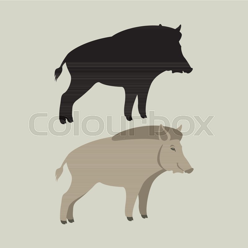 800x800 Hog Vector Illustration Flat Style Stock Vector Colourbox