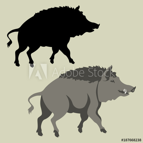 500x500 Hog Vector Illustration Flat Style Silhouette Black Profile