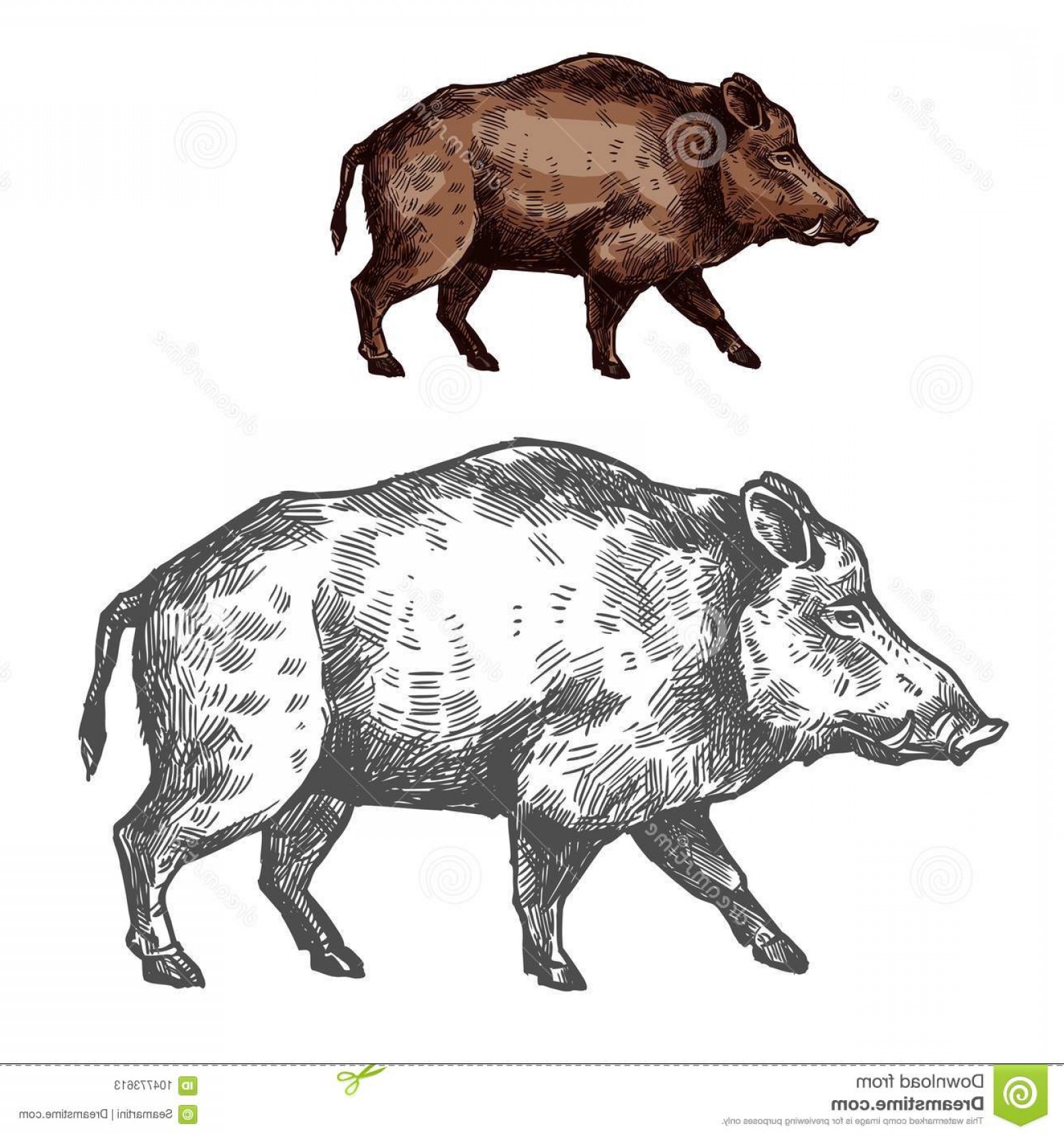1560x1668 Hog Hunting Vector Handandbeak