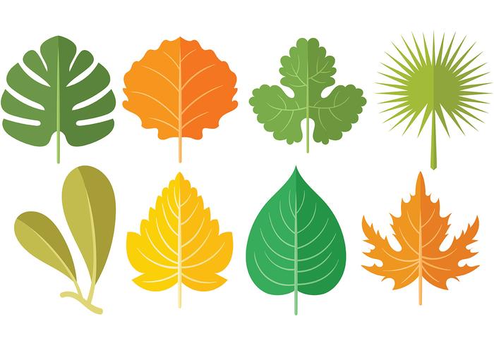 700x490 Free Hojas Icons Vectors