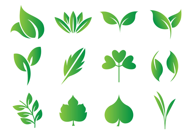 632x443 Free Leaf, Hojas Vector Free Vector Download Cannypic
