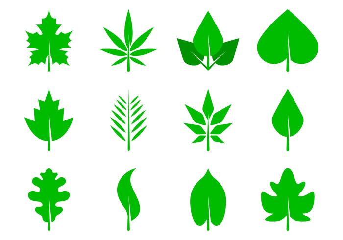 700x490 Free Leaves Icon Vector