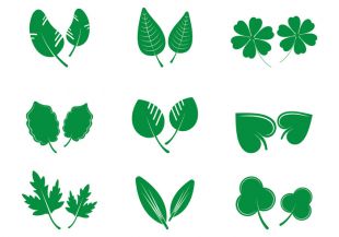 310x217 Hojas Vector Free Vectors Ui Download
