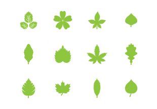 310x217 Hojas Vector Free Vectors Ui Download