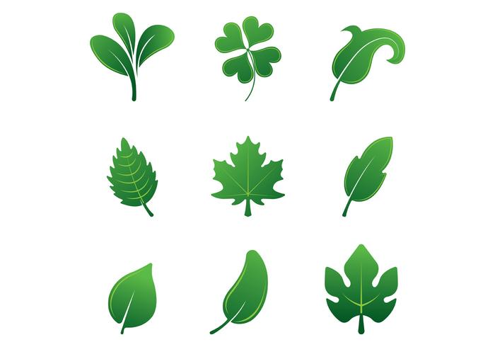 700x490 Set Of Hojas Vector