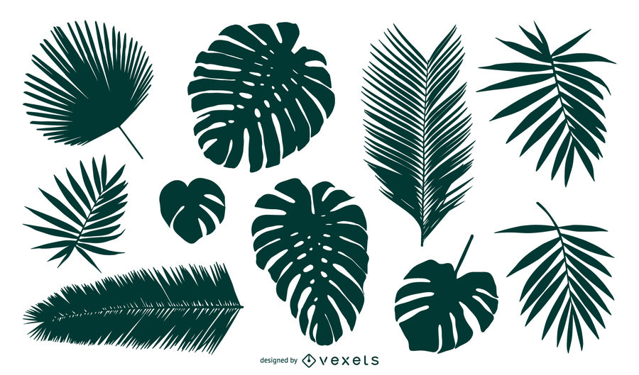 900x529 Silhouettes Of Palm Tree Leaves Set