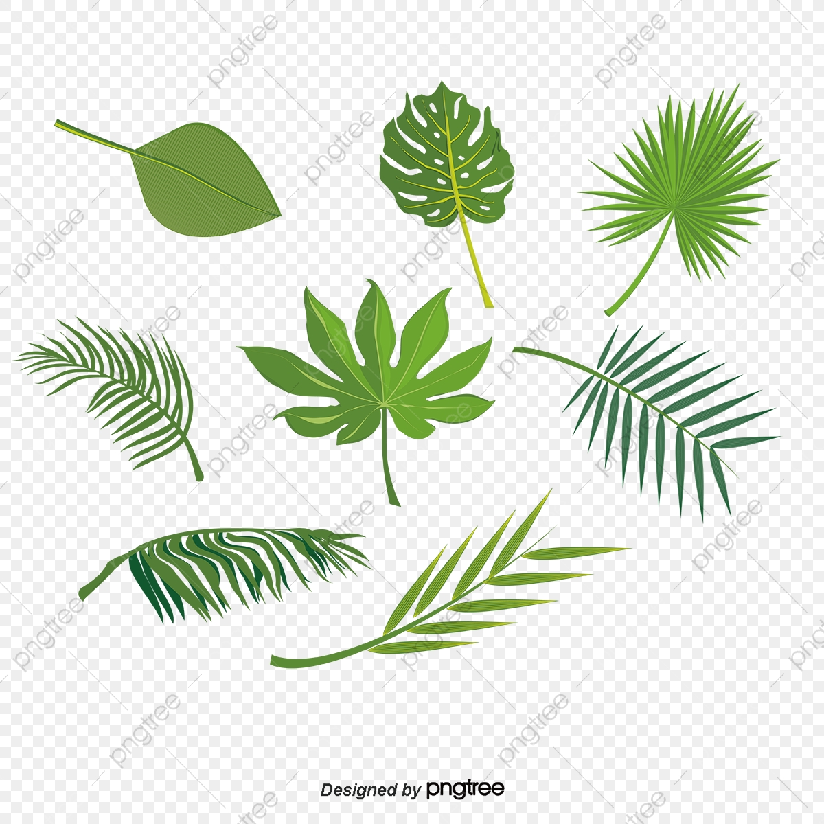 1200x1200 Vector De Hojas, Hojas, Hojas Verdes, Dibujos De Hojas Verdes Png