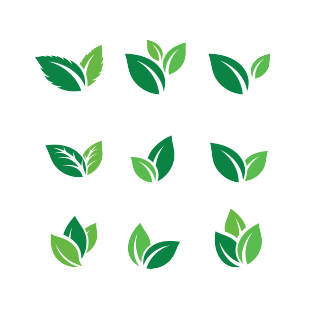 626x626 Conjunto De Iconos De Vector De De De Hoja