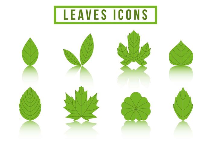 700x490 Free Collection Hojas Logo Vector