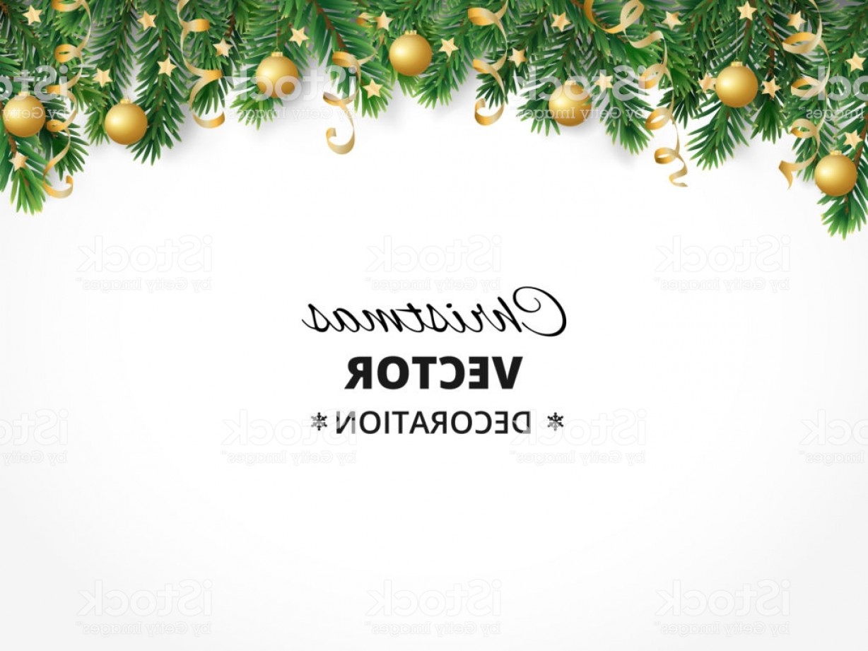 1228x921 Winter Holiday Background Border With Christmas Tree Branches