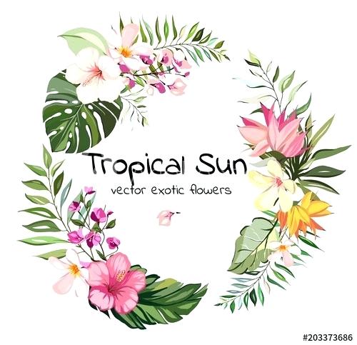 500x483 Vector Images Flowers