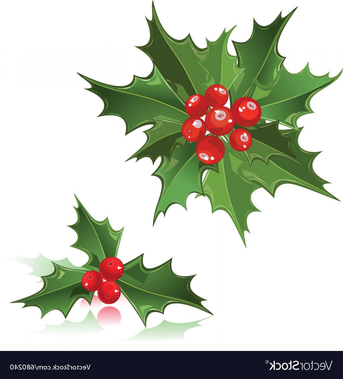 Holly Berry Vector at Vectorified.com | Collection of Holly Berry ...