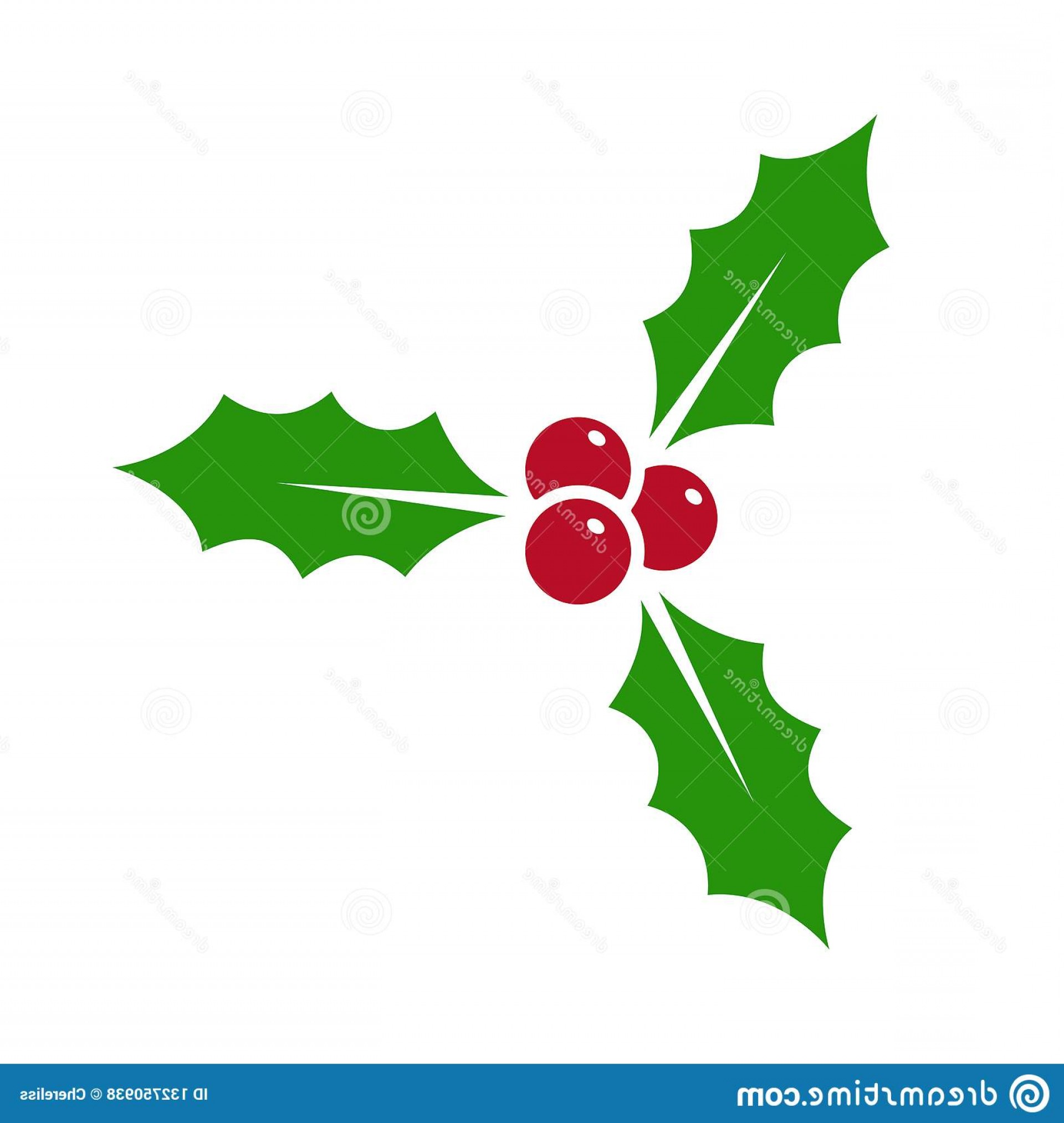 1920x2026 Holly Berry Vector Icon Holly Berry Leaves Christmas Symbol