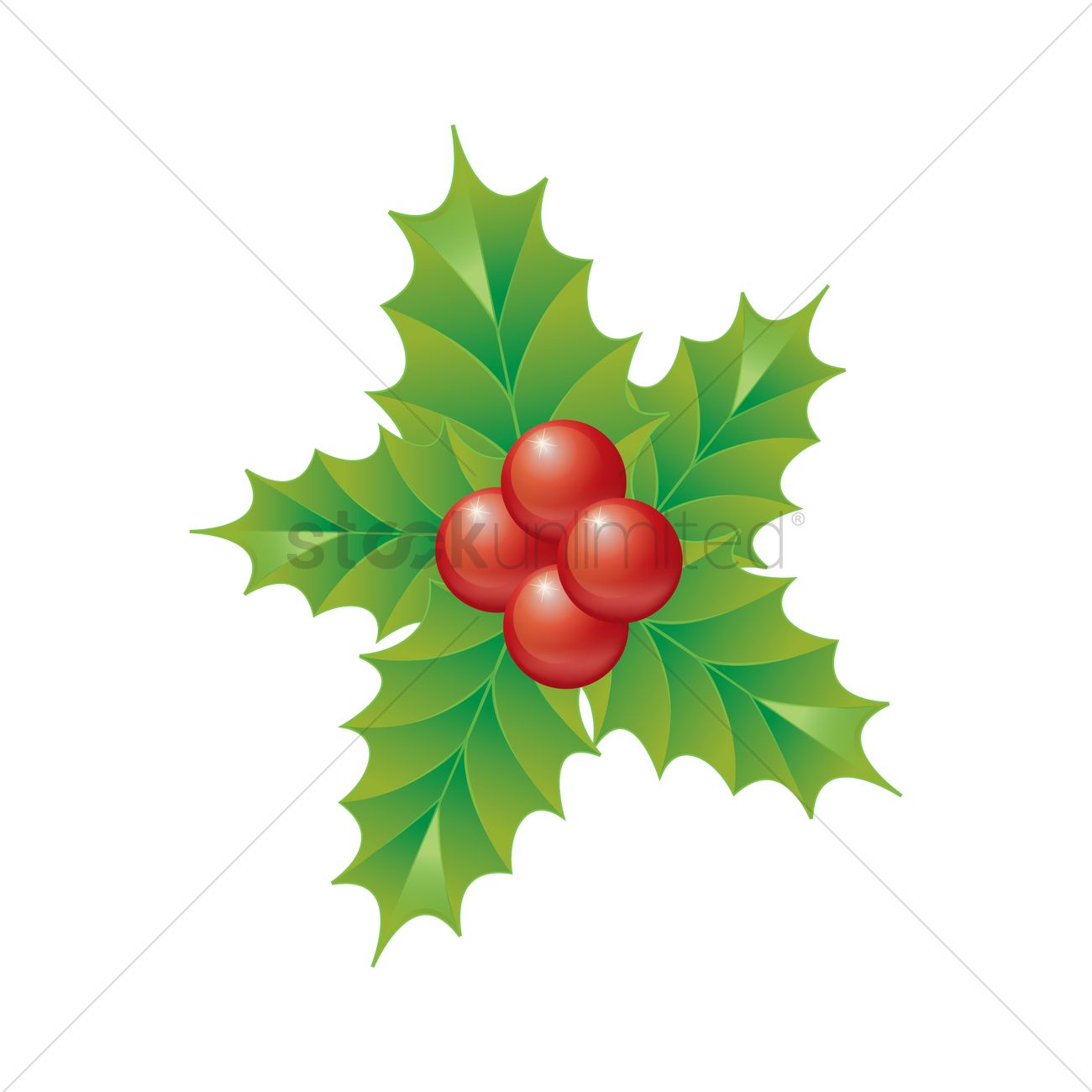 1300x1300 Holly Berry Vector Image