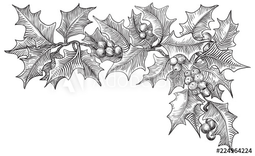 500x306 Vintage Merry Christmas Border Vector Holly Branches Isolated