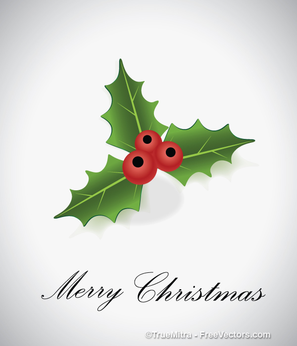 600x700 Download Free Holly Leaf Vector Vector Illustration