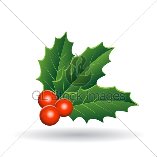500x500 Holly Berries With Stacked Leaves Vector Illustration Gl Stock