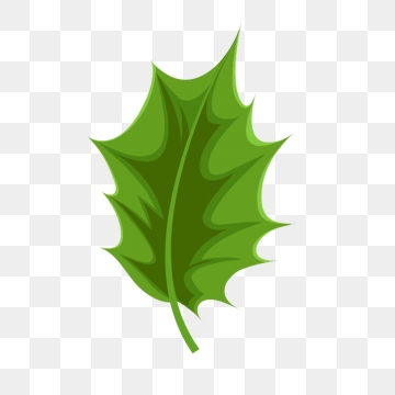 360x360 Holly Leaf Png, Vector, And Clipart With Transparent