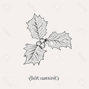 300x300 Holly Leaves Berries