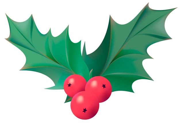 Holly Leaf Vector at Vectorified.com | Collection of Holly Leaf Vector ...