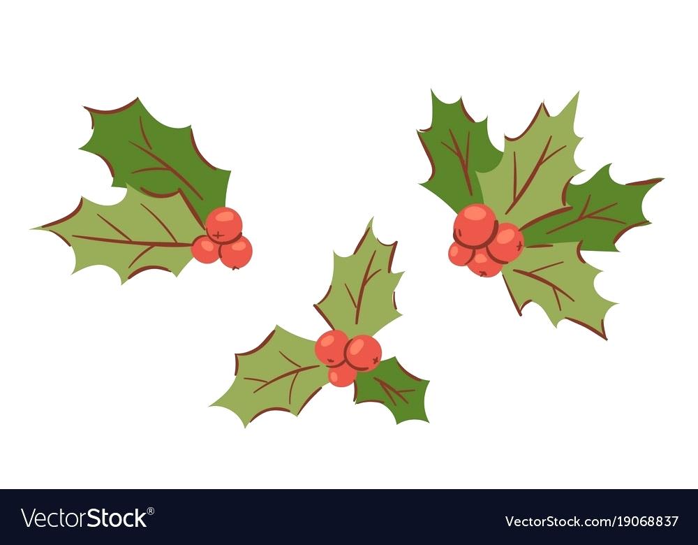 1000x780 Christmas Holly Berry Holly Berry Isolated On White Holly Fruits