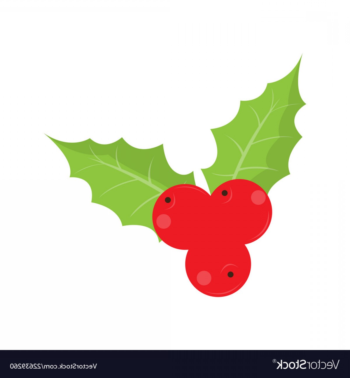 1200x1296 Isolated Holly Leaf Icon Christmas Ornaments Vector Soidergi