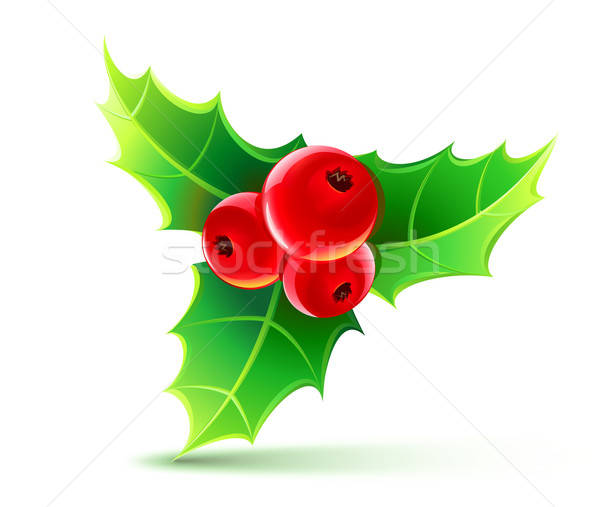 Holly Leaf Vector at Vectorified.com | Collection of Holly Leaf Vector