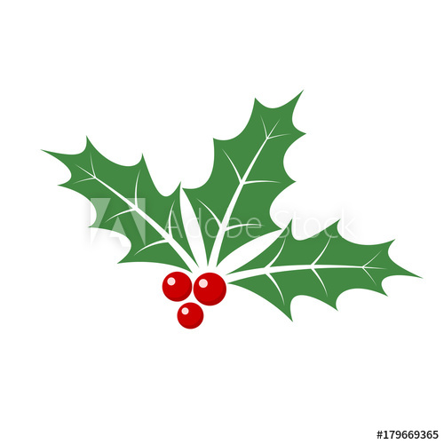 500x500 Christmas Holly Berry Leaves Vector Illustration