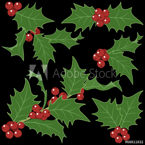 500x500 Holly Sprigs For Christmas Decorations Isolated