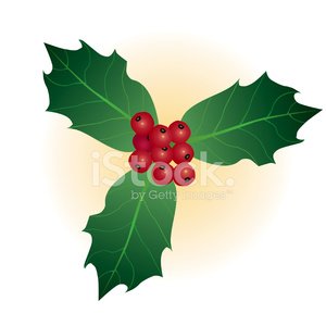 300x300 Vector Holly Sprig And Berries Stock Vectors