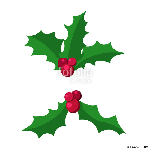 500x500 Sprig Of Holly European Symbol Of Christmas Branch Of Holly Green